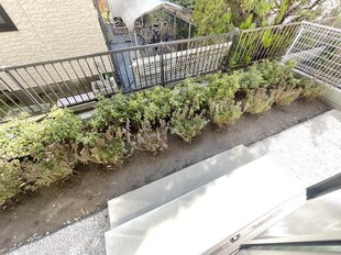 若松町戸建の物件内観写真